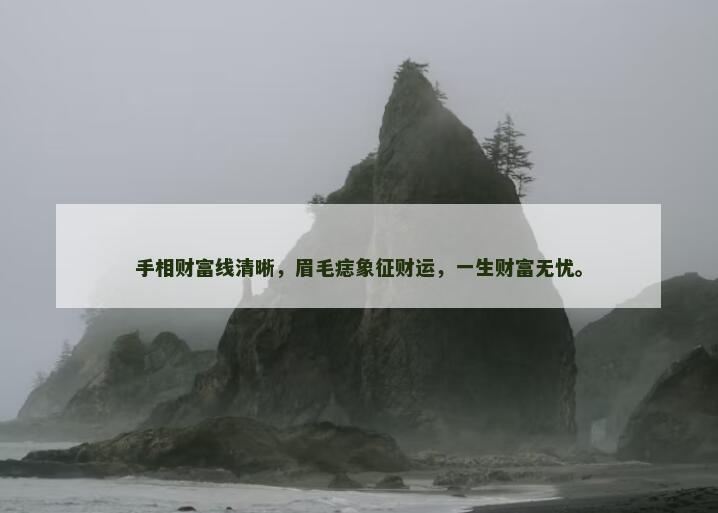 手相财富线清晰，眉毛痣象征财运，一生财富无忧。