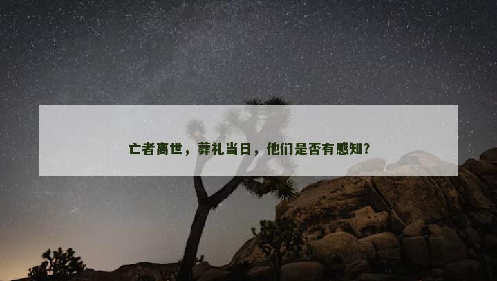 亡者离世，葬礼当日，他们是否有感知？