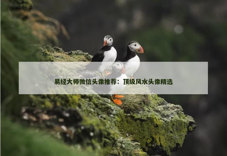 易经大师微信头像推荐：顶级风水头像精选