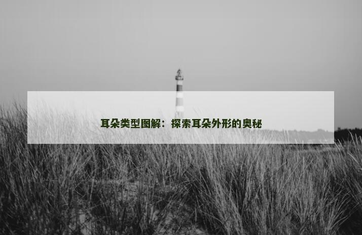 耳朵类型图解：探索耳朵外形的奥秘