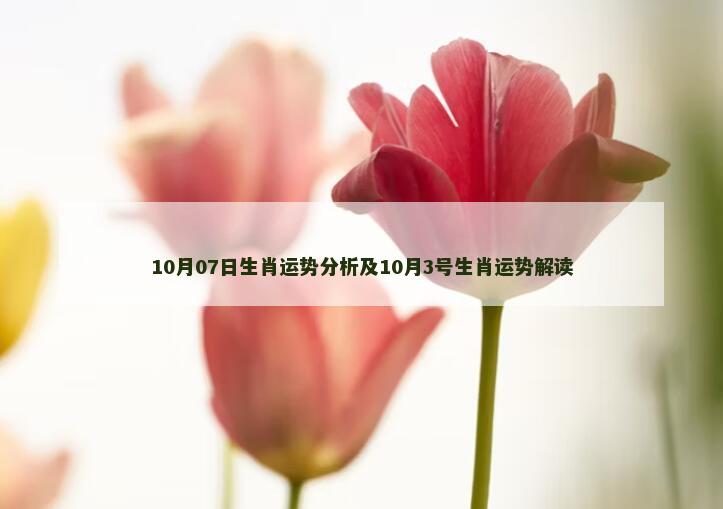 10月07日生肖运势分析及10月3号生肖运势解读